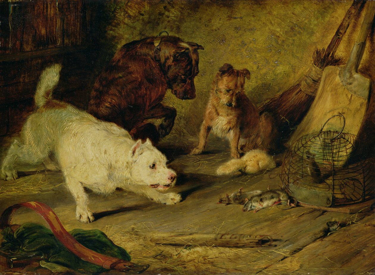 Cazarratas de Edwin Landseer