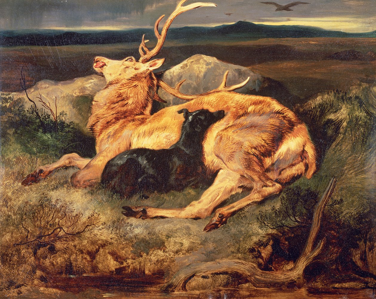 Ciervo de Edwin Landseer