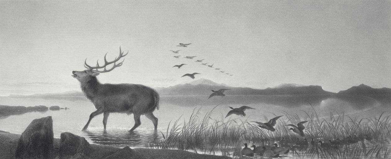 El rescate de Edwin Landseer