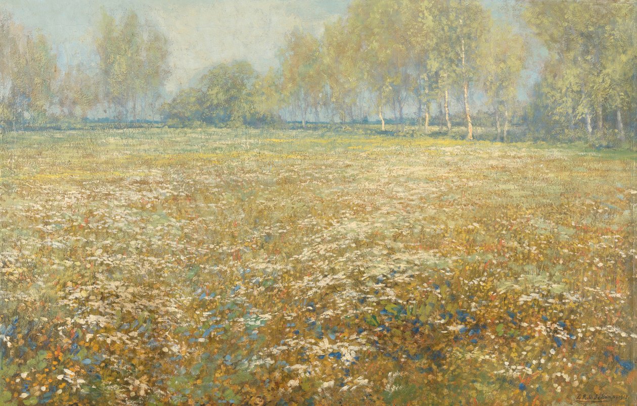 Pradera en flor de Egbert Schaap