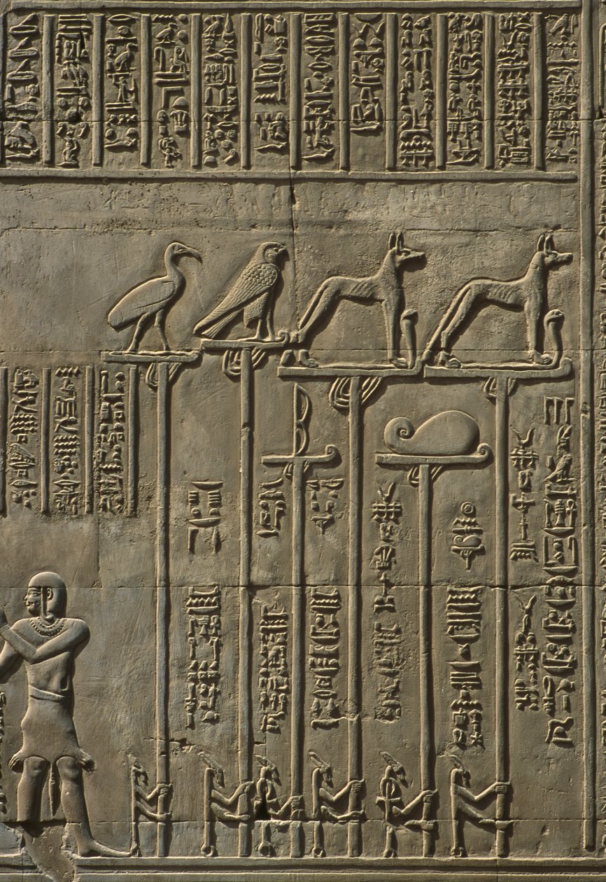 Detalle de un relieve de Egyptian