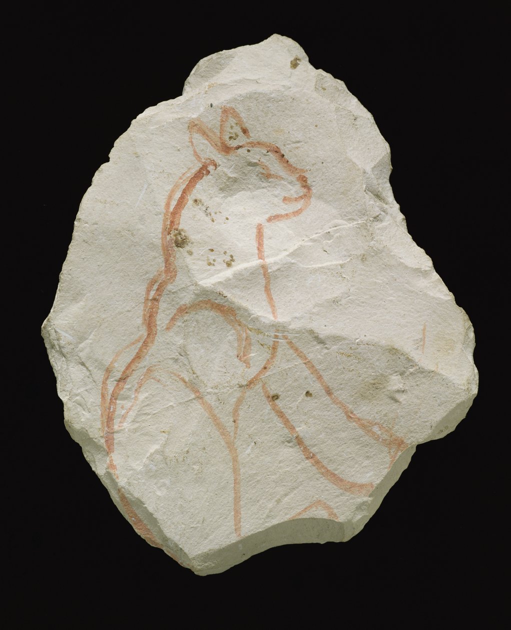 Ostracon que representa un gato sentado de Egyptian 19th Dynasty