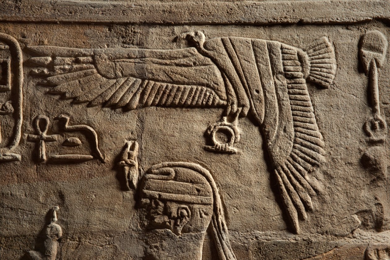 Relieve en un santuario erigido por el faraón Taharqa en el patio del Templo de Amón construido por él en Kawa en Nubia, Dinastía 25, Período Tardío, 690-64 a.C. (detalle) de Egyptian 25th Dynasty