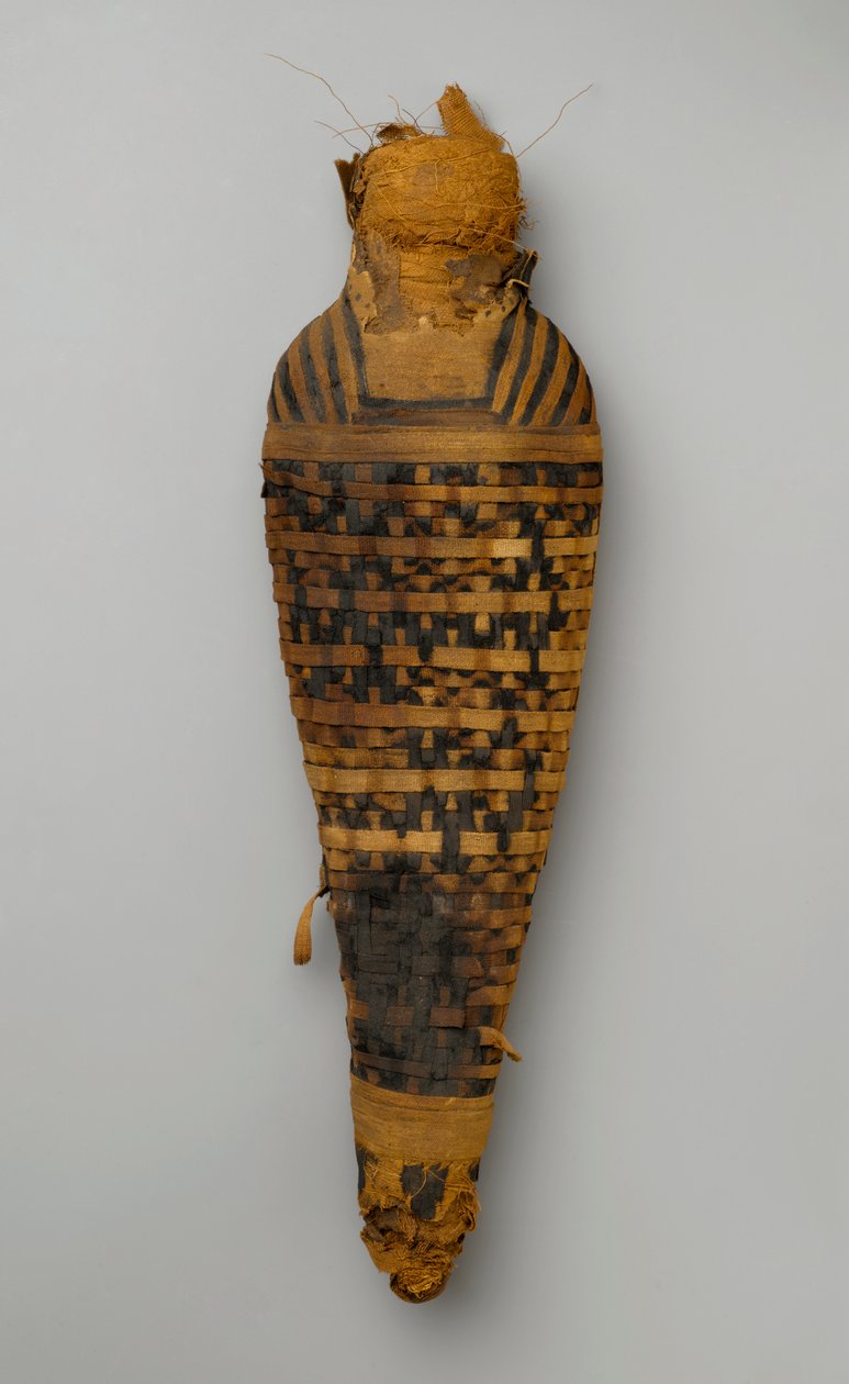 Momia de un halcón de Egyptian