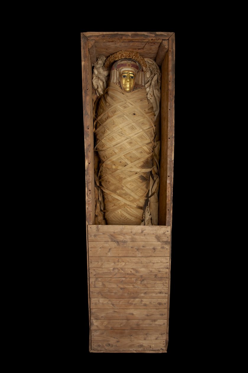 Momia en ataúd, de Hawara de Egyptian Ptolemaic Period
