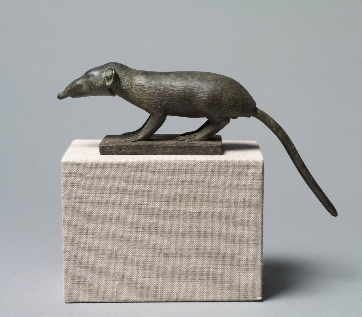 Musaraña, 305-30 a.C. de Egyptian Ptolemaic Period