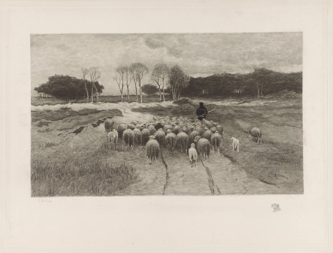 Shepherd de Elias Stark