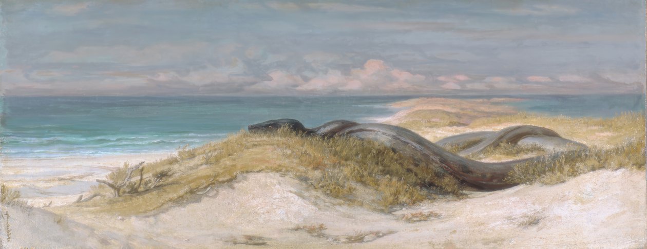 Cueva de la serpiente marina de Elihu Vedder