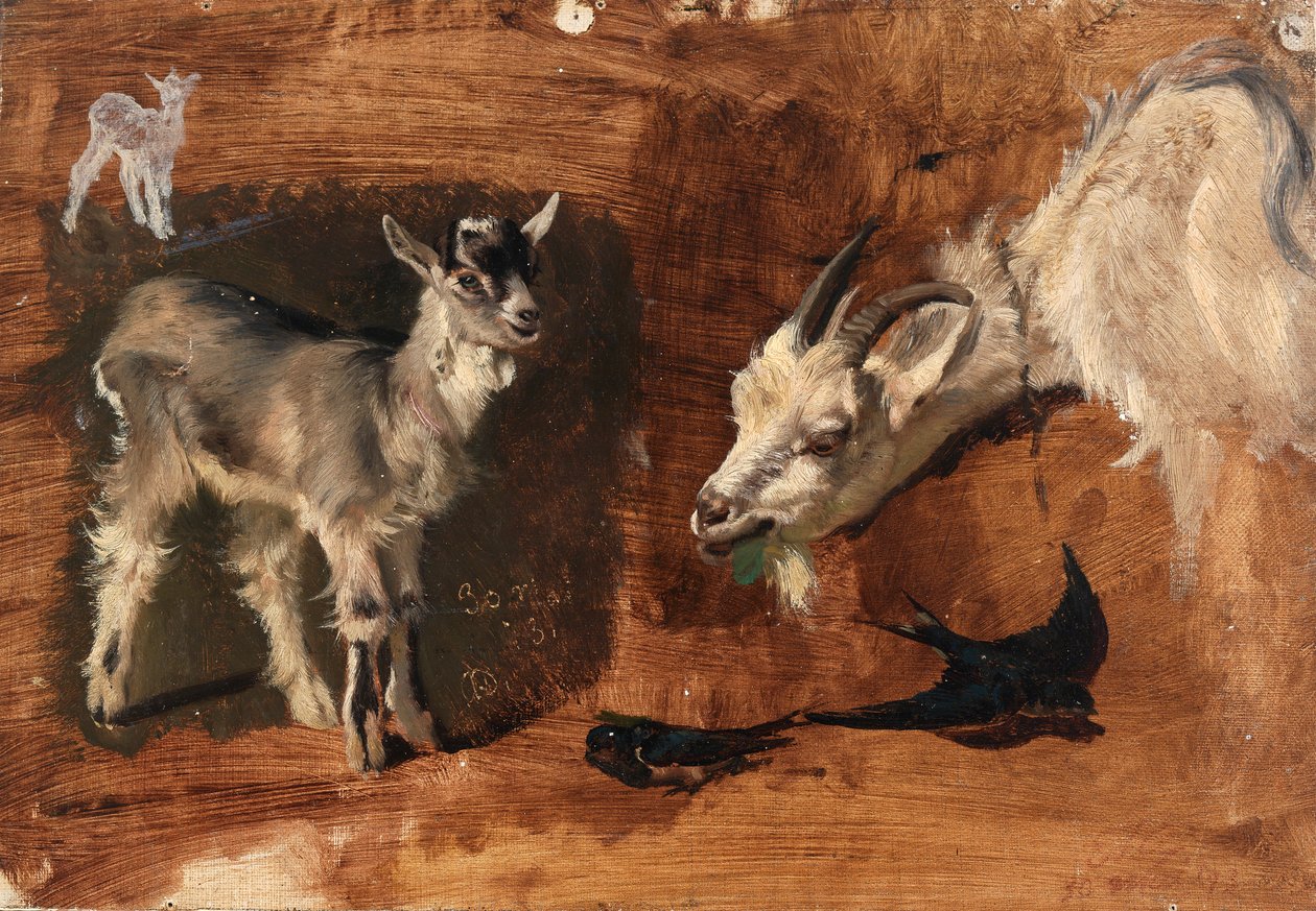 Cabras de Eliphalet Frazer Andrews
