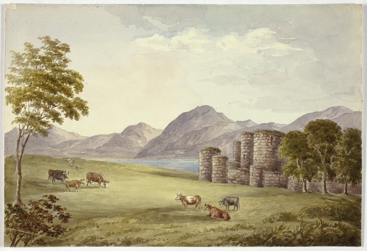 Castillo de Beauman de Elizabeth Murray