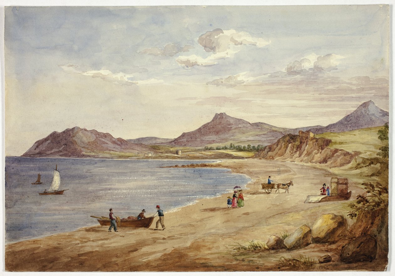 Vista de las colinas de Wicklow de Elizabeth Murray