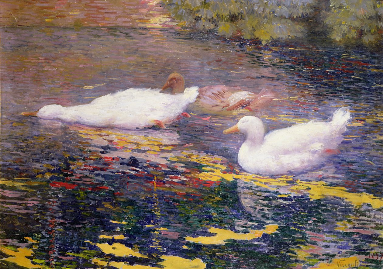 Patos en un río de Elysee Visconti