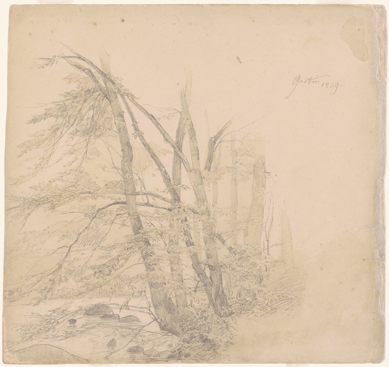 Gestin de Emanuel Gottlieb Leutze