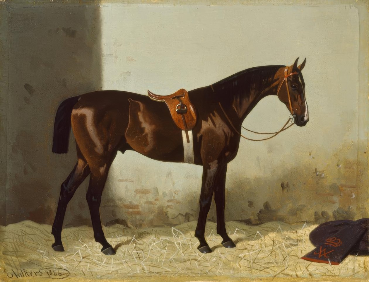 Caballo marrón en el establo de Emil Volkers