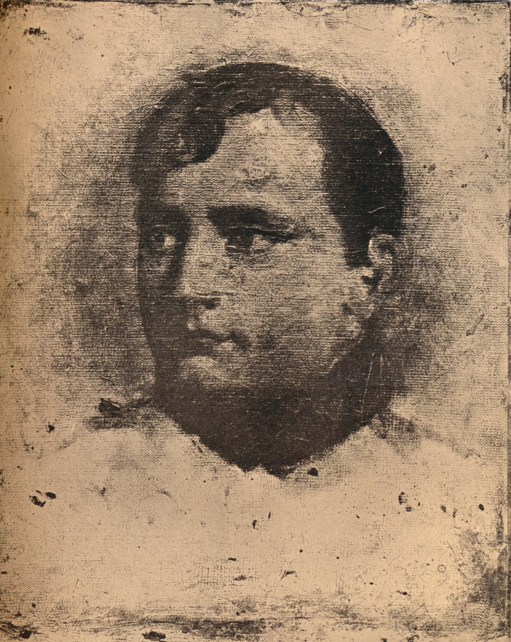 Napoleón de Emile Jean Horace Vernet