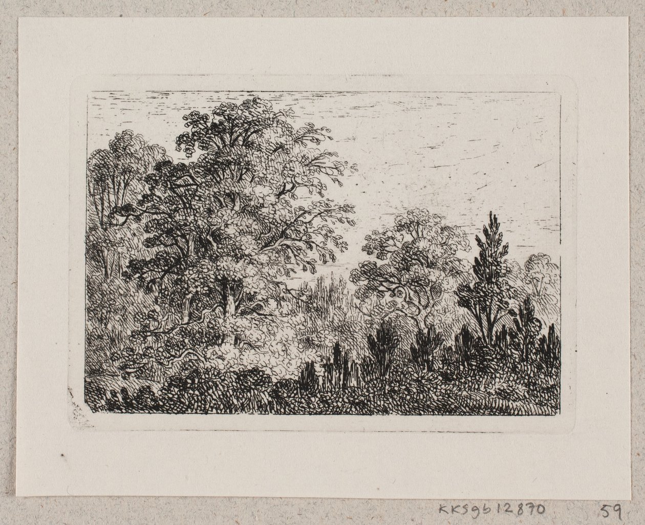 Paisaje forestal de Emma Meyer