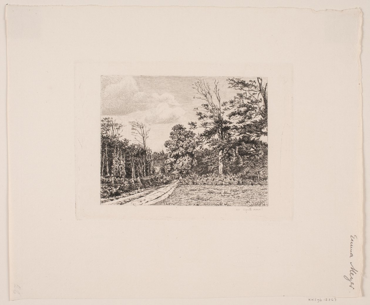 Paisaje forestal de Emma Meyer