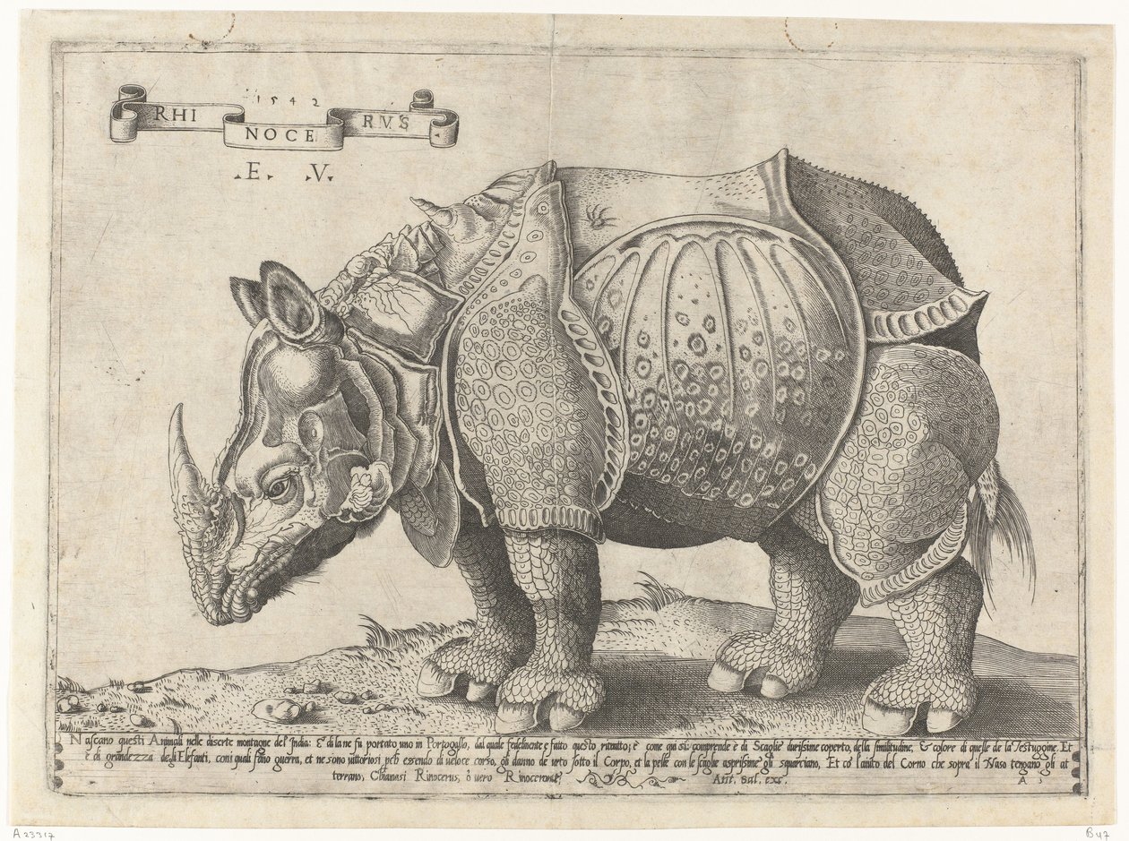 Rhinocerus
Rhinocerus (título del objeto) de Enea Vico