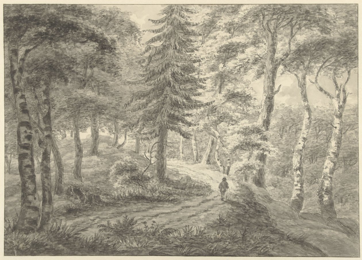 Vista del bosque de Engelbert Michaël Engelberts