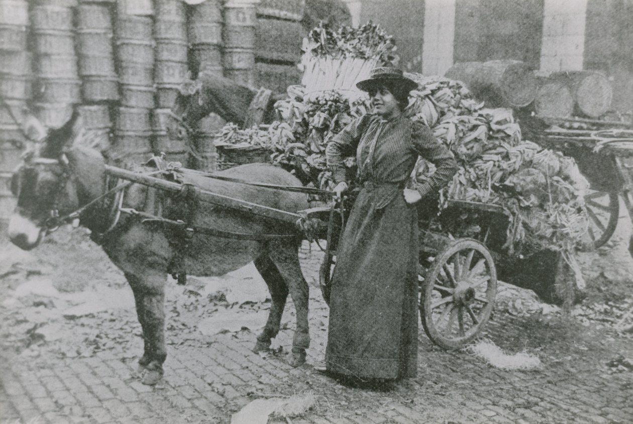 Una mujer vendedora de flores de English Photographer