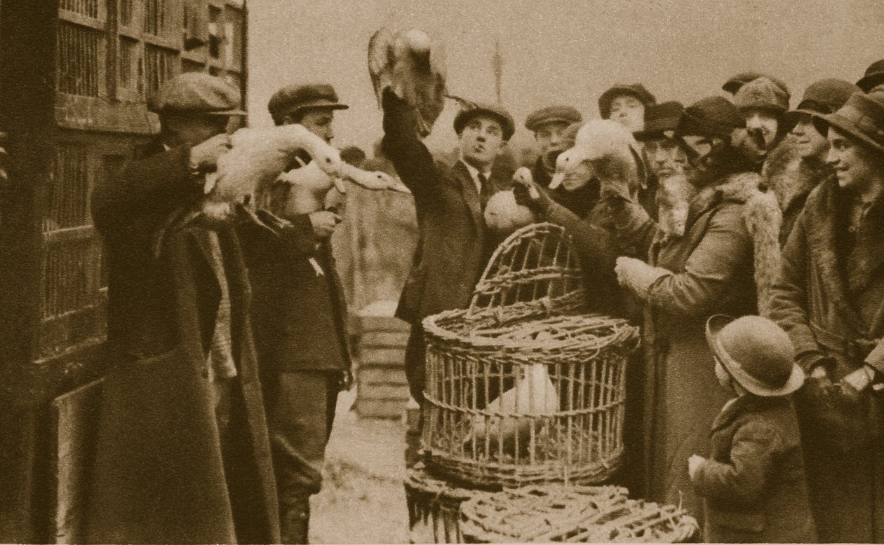 Comprando aves vivas en un mercado de vendedores ambulantes en el Caledonian Market de English Photographer
