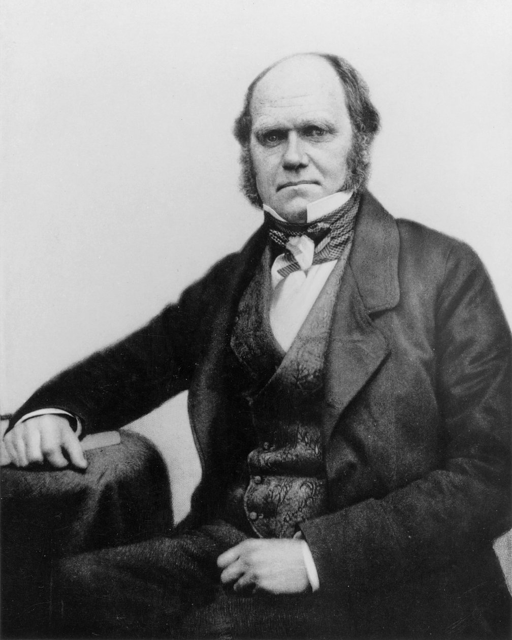 Retrato de Charles Darwin, 1854 de English Photographer
