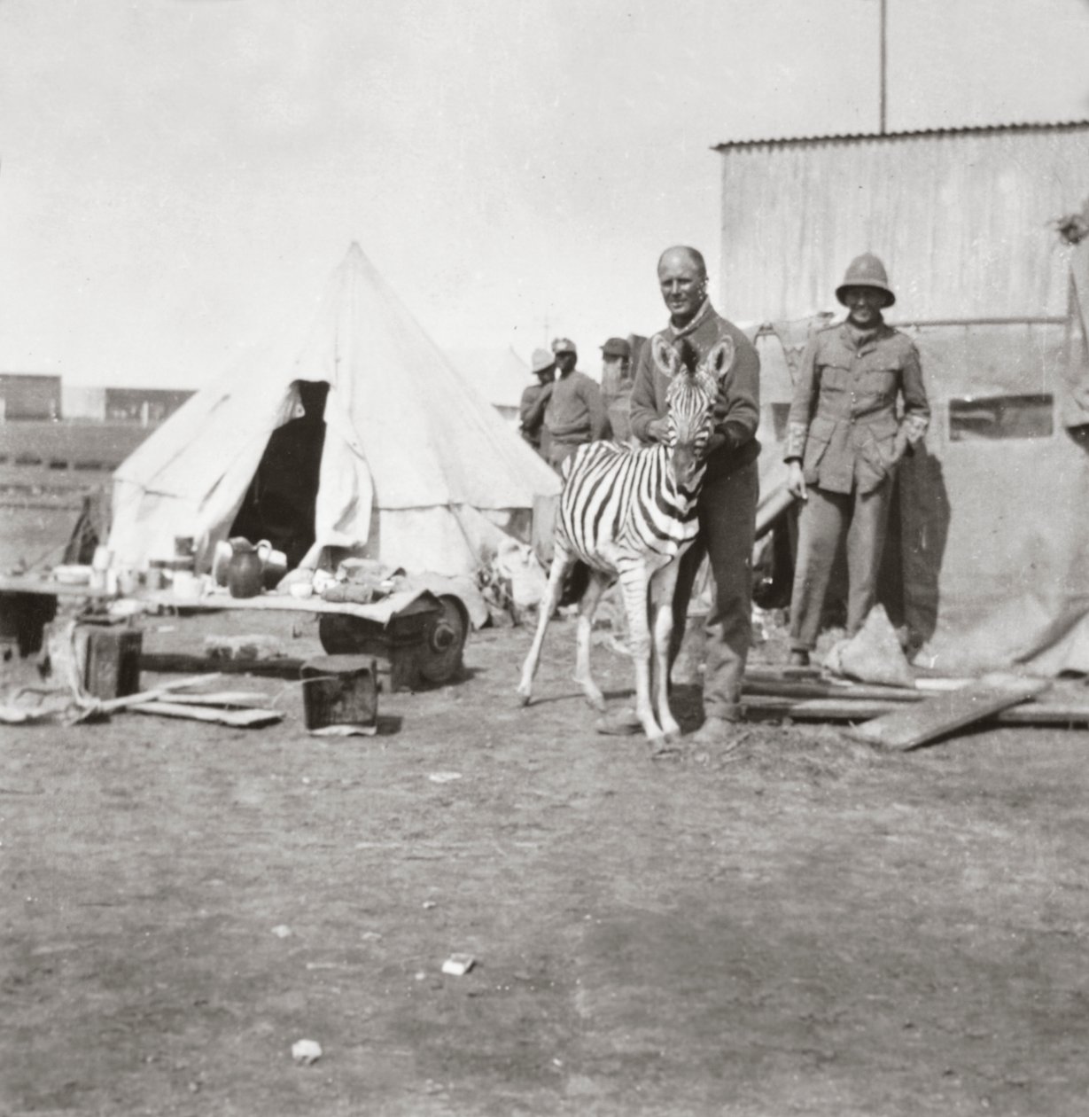 Artilleros sudafricanos con su cebra mascota en África Oriental de English Photographer