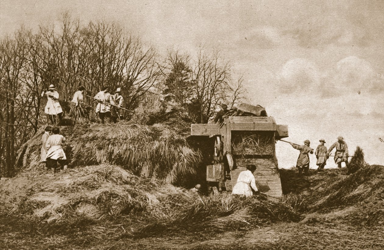 Entrenando al Ejército de Mujeres en la teoría y práctica de todas las ramas de la agricultura, 1914-19 de English Photographer