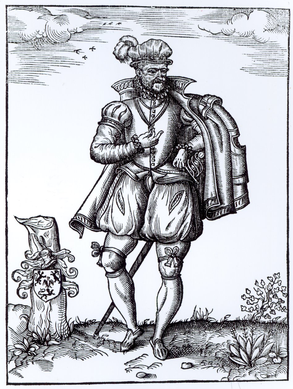 Un caballero Tudor de English School