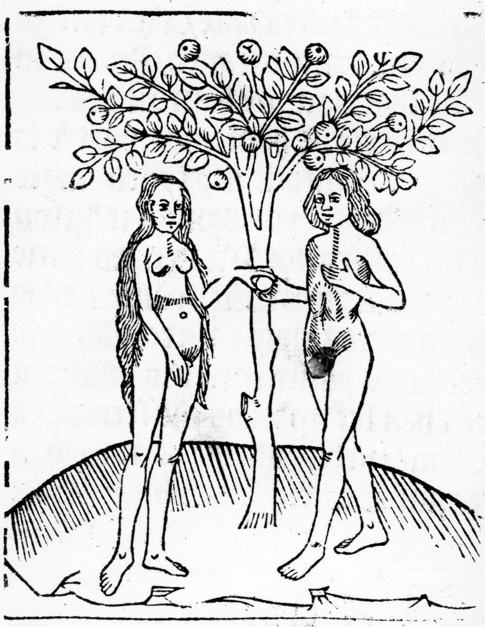 Adán y Eva, ilustración del 
