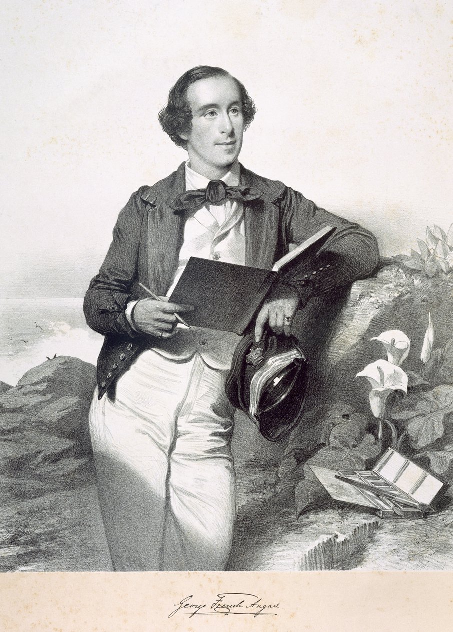George French Angas de English School