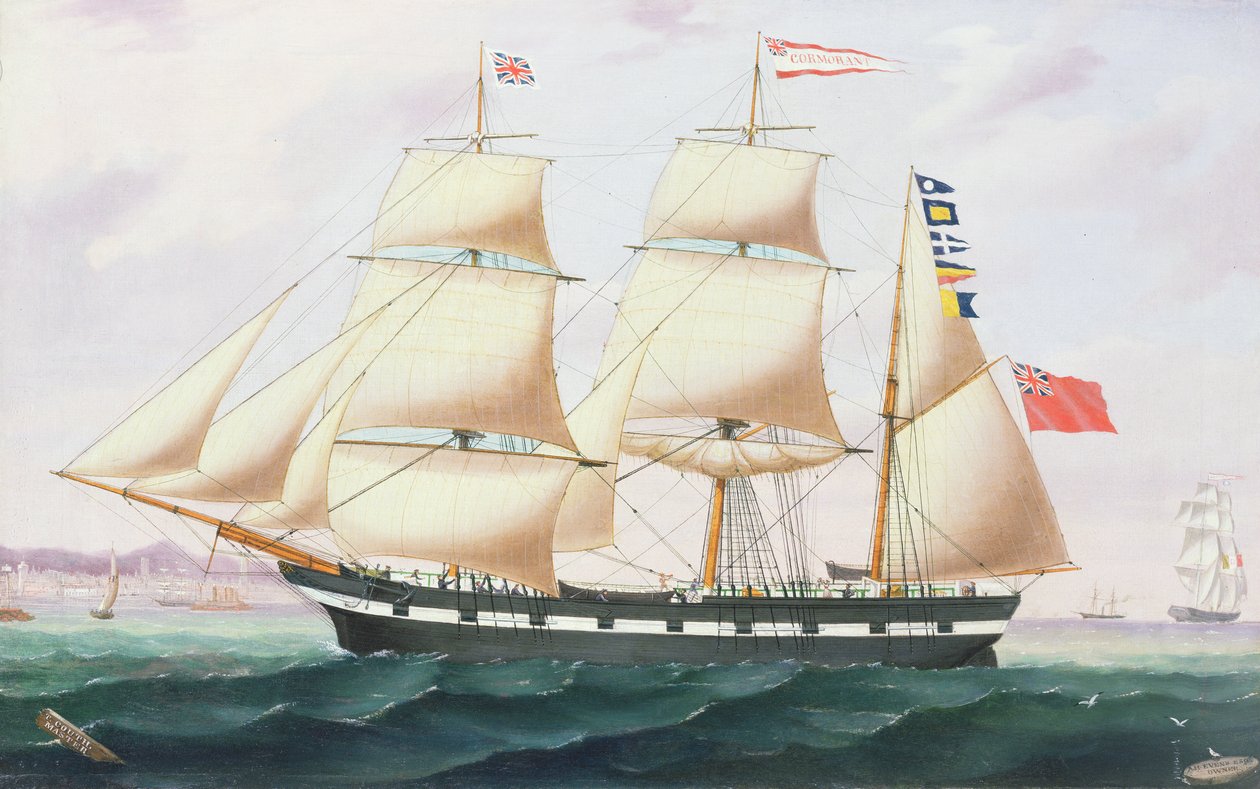 La barca `Cormorant de English School