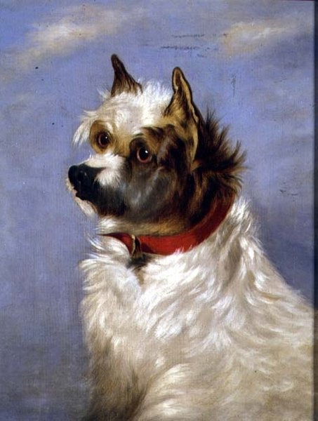 Un terrier con un collar rojo de English School