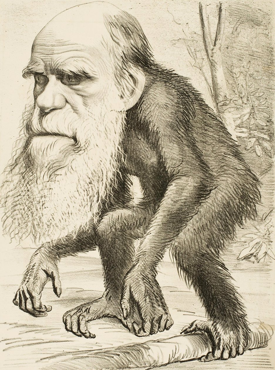 Caricatura de Charles Darwin de English School