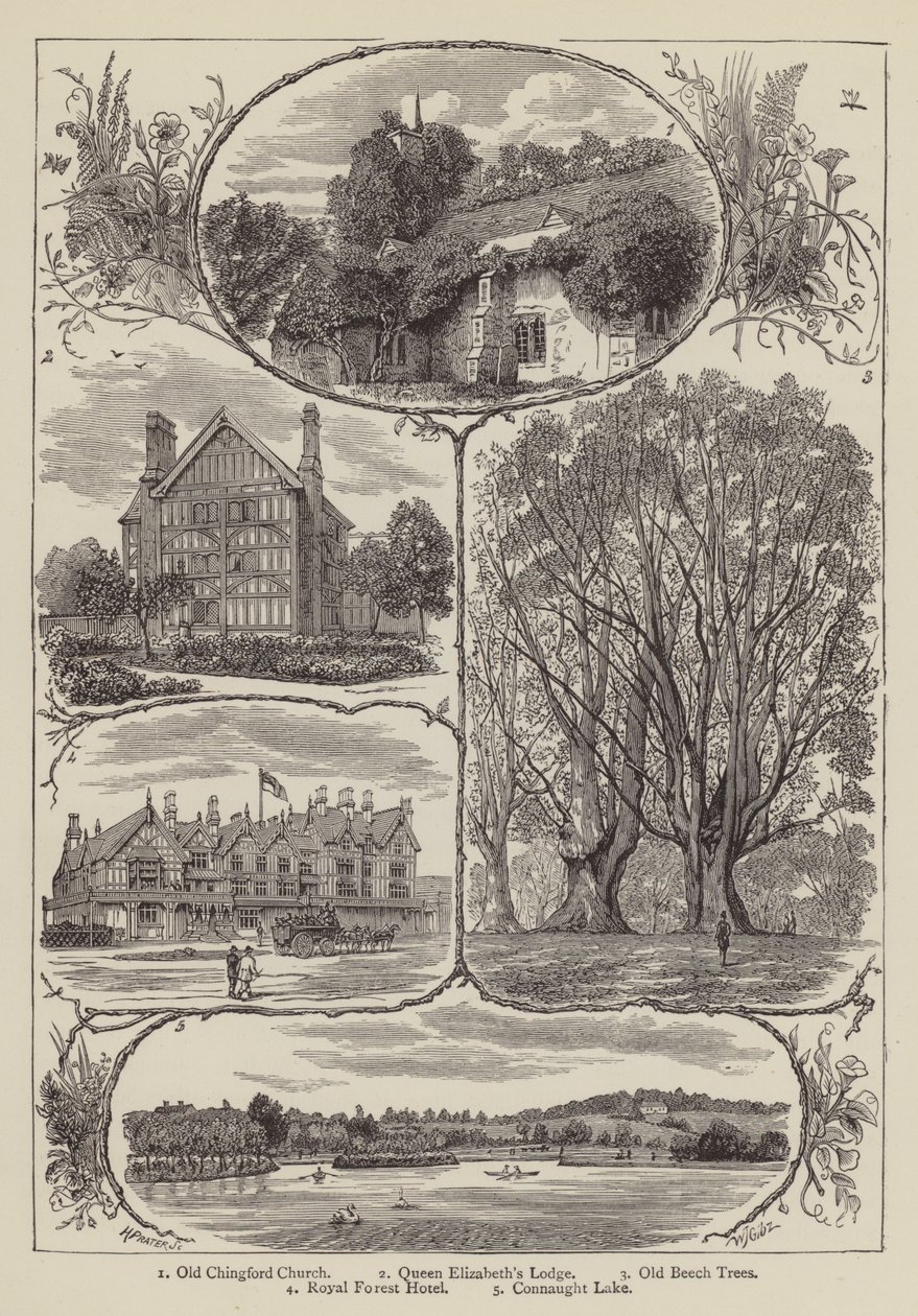 Chingford (grabado) de English School