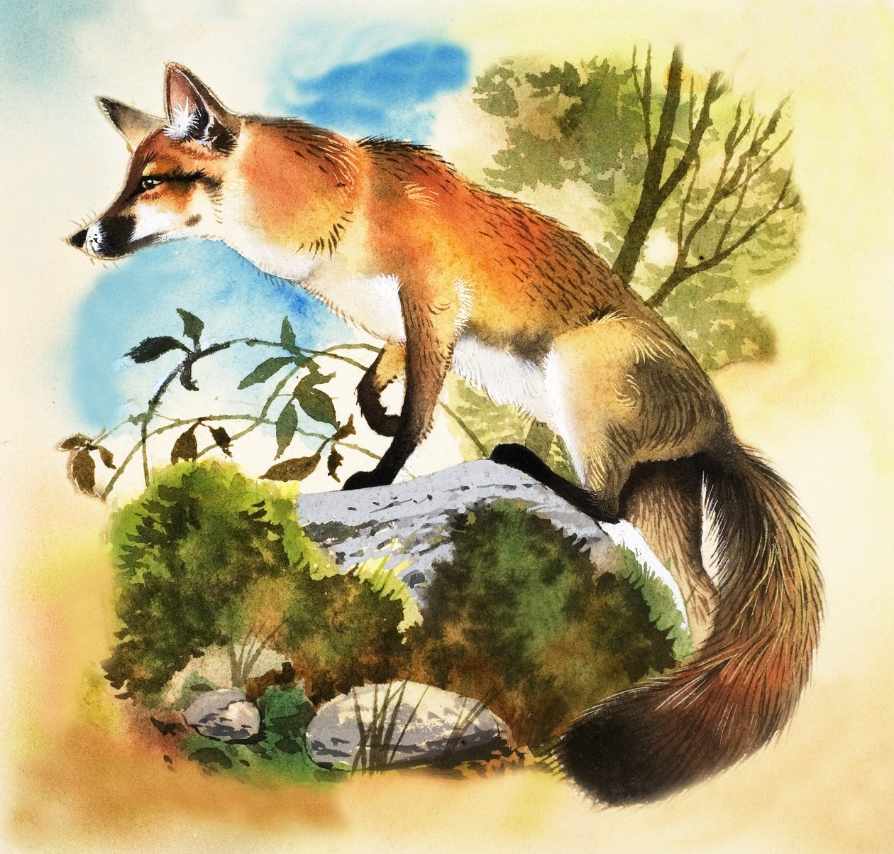 Fox de English School