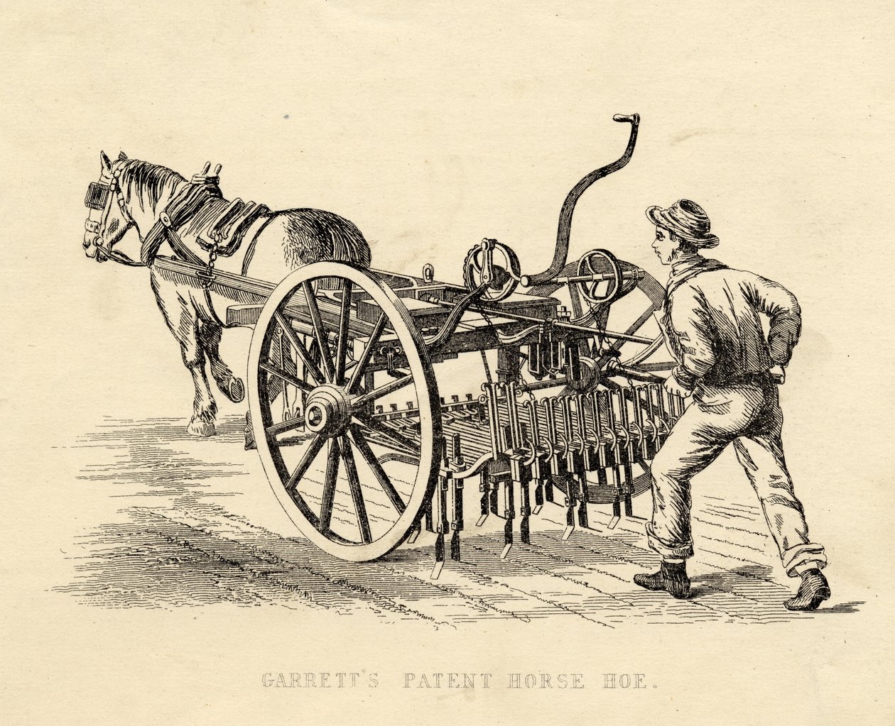 Garretts Azada de Caballo Patentada de English School