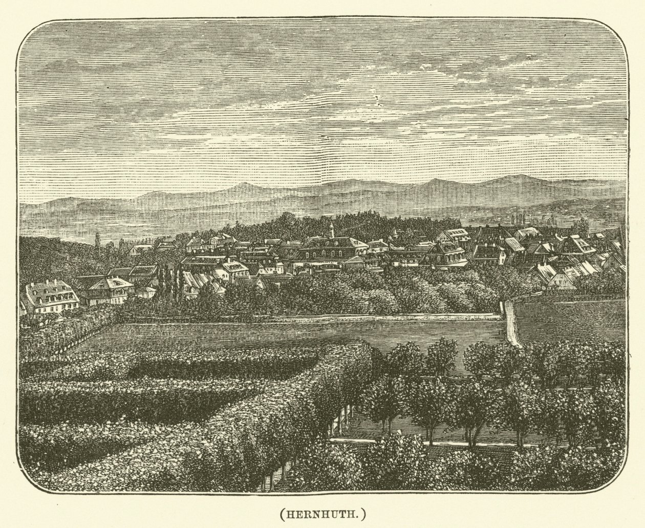 Hernhuth (grabado) de English School