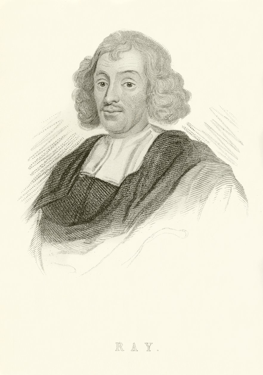 John Ray de English School