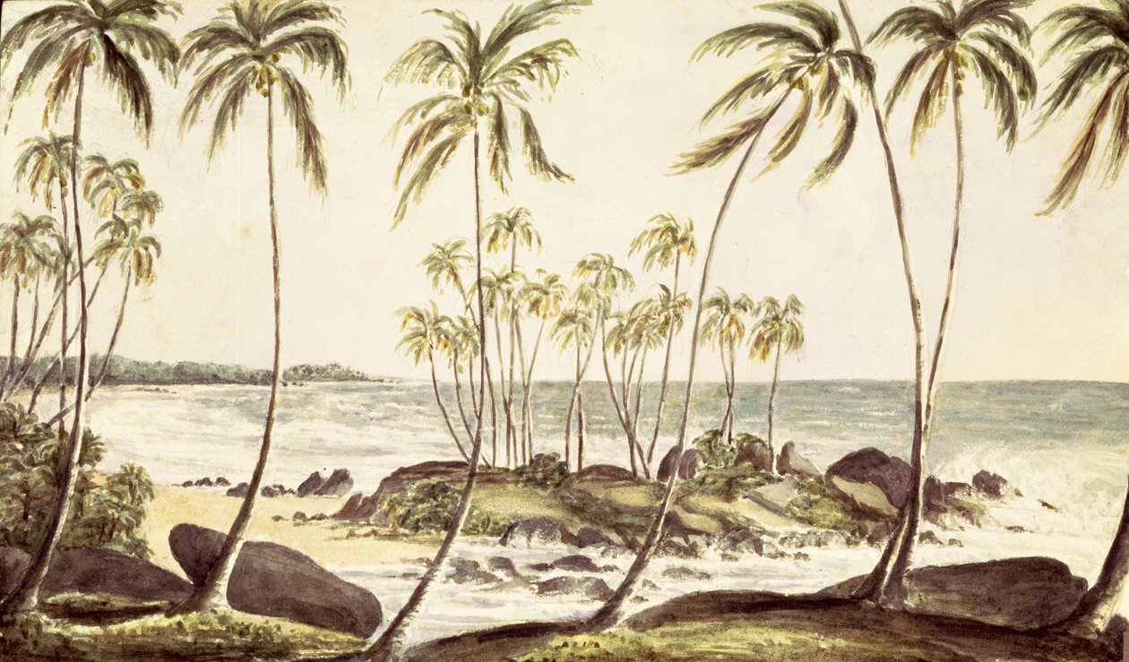 Playa de Kosgoda, Ceilán, c.1835 de English School