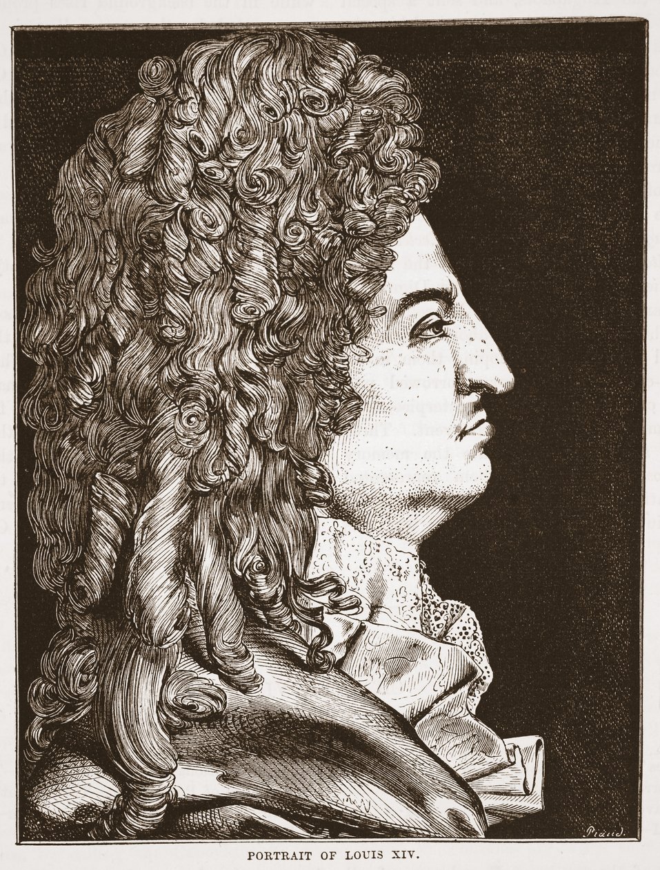 Retrato de Luis XIV de English School