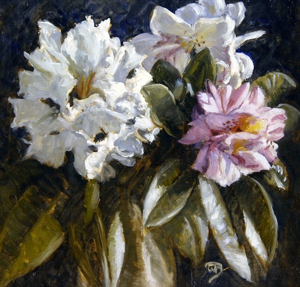 Rhododendron de English School