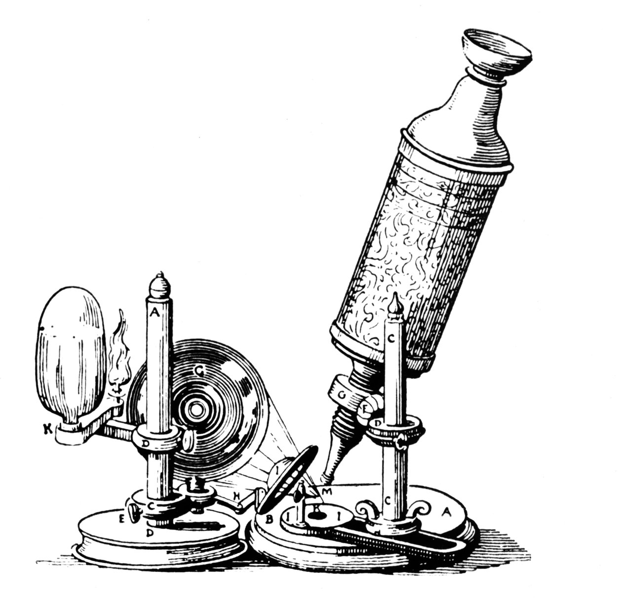 Microscopio de Robert Hooke de English School