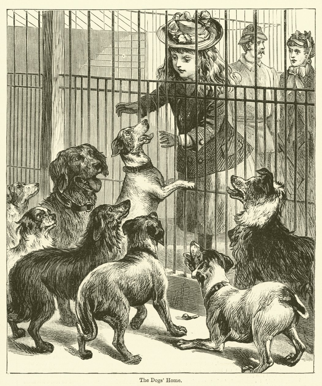 El hogar de los perros (grabado) de English School