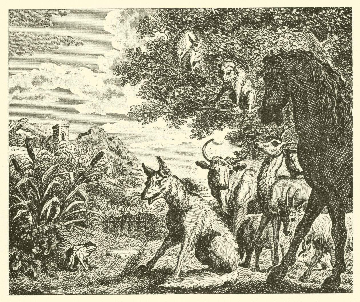 La rana y el zorro (grabado) de English School