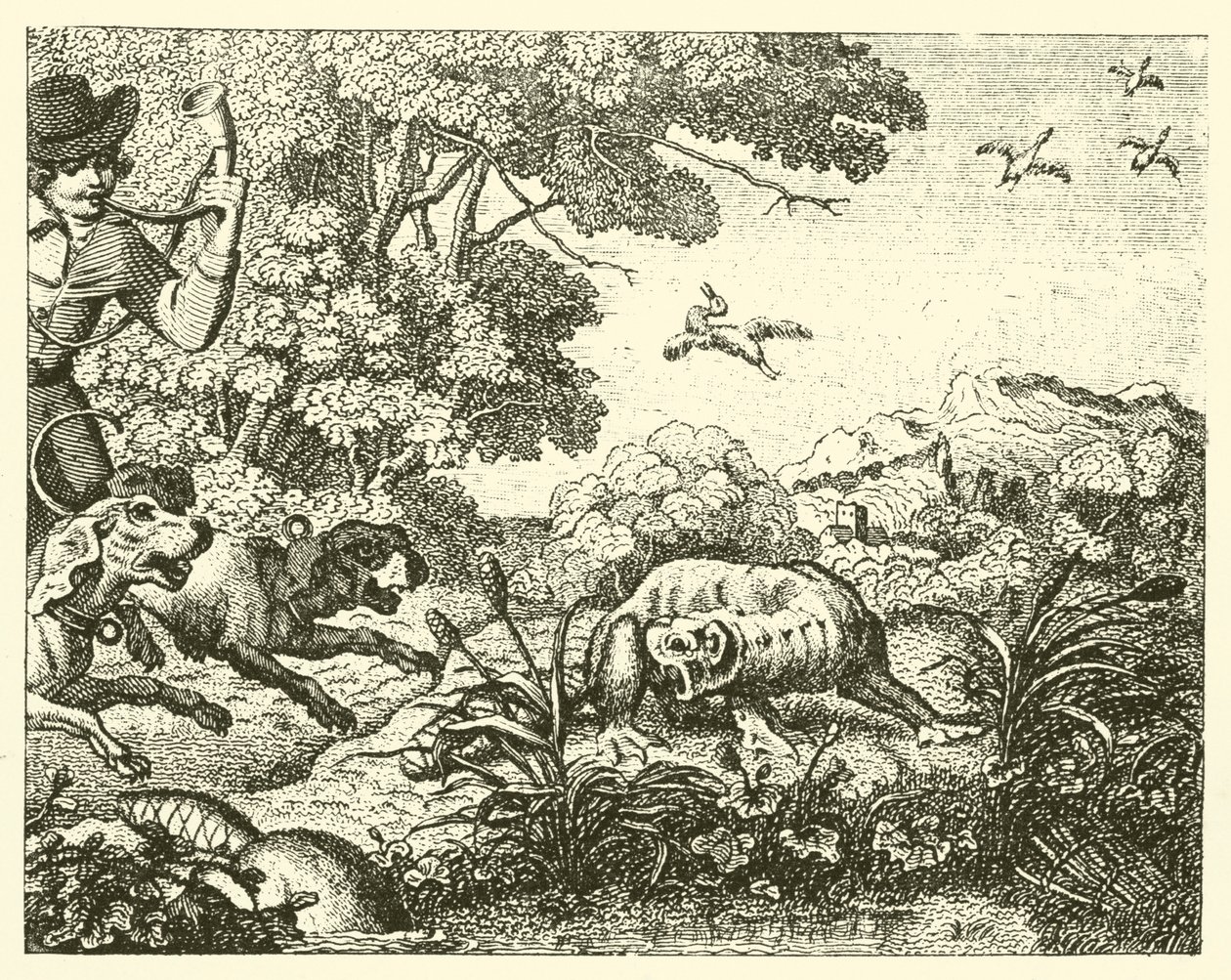 El castor cazado (grabado) de English School