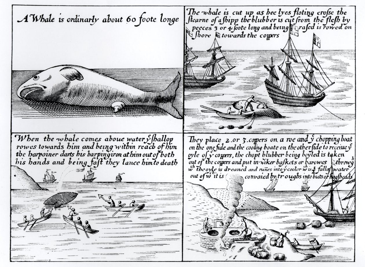 Caza de ballenas en Spitzbergen en 1611 de English School