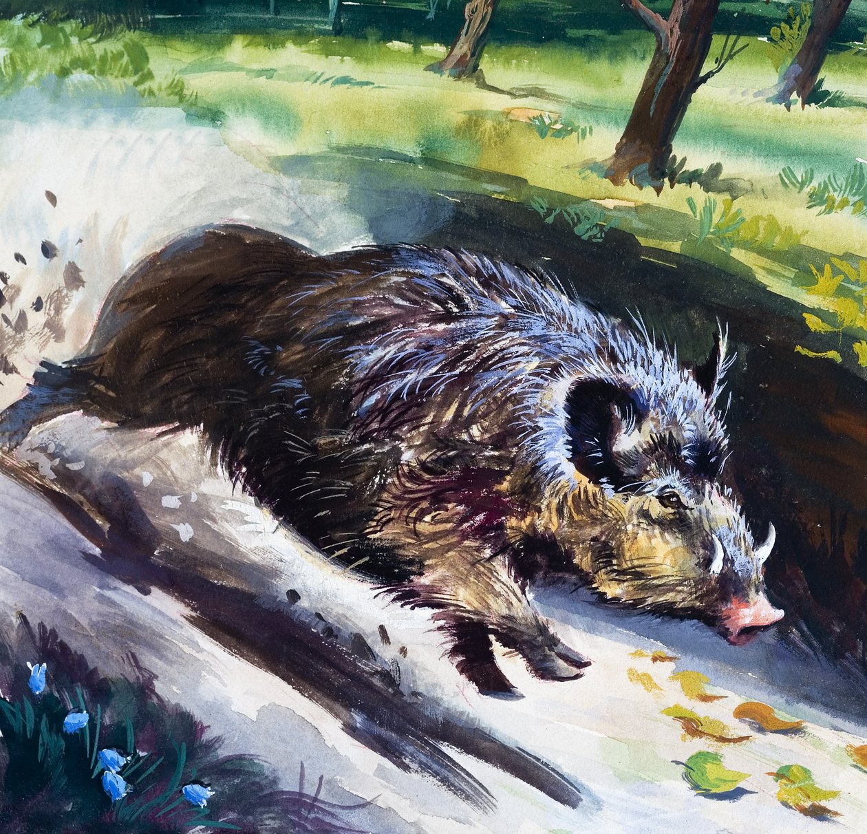 Jabalí (gouache sobre papel) de English School