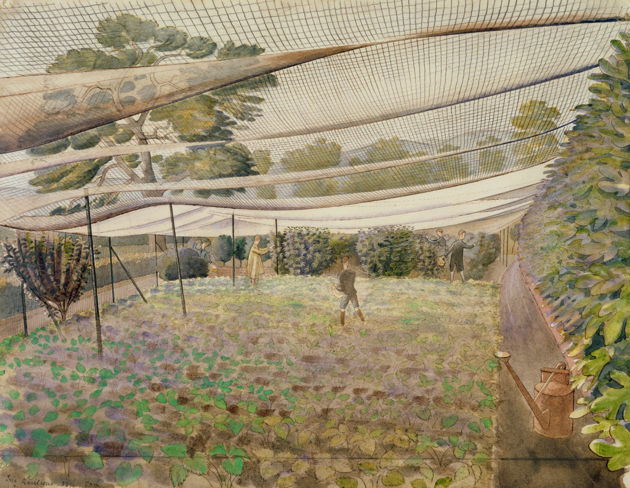Redes de Fresas de Eric Ravilious