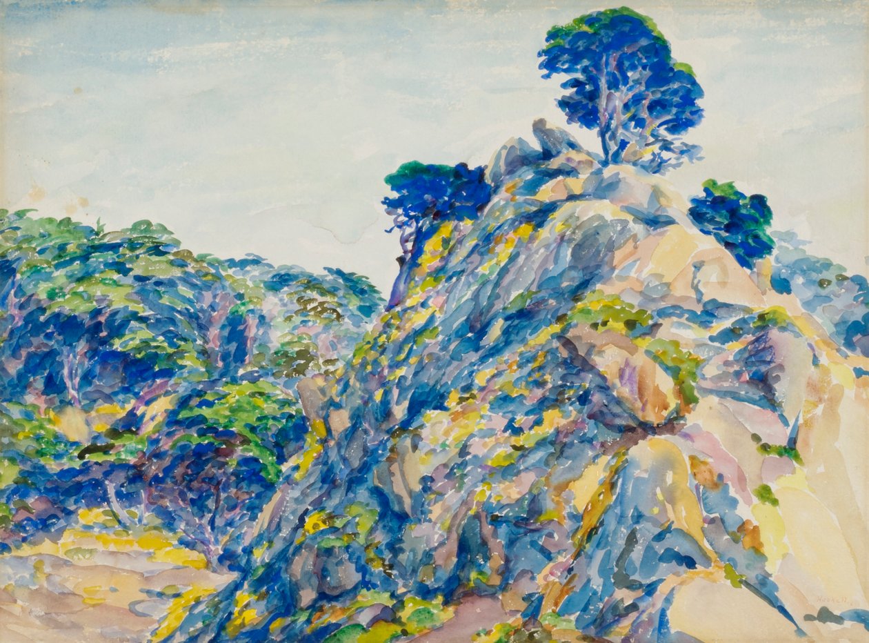 Point Lobos de Ernest Haskell